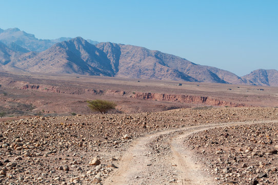 Medio Oriente, 10/03/2013: tracce di 4x4 nel paesaggio deserto della Riserva Biosfera di Dana, la più grande riserva naturale della Giordania