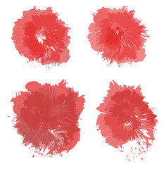 Set of different scarlet roses. Isolated on white. 