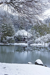 白水阿弥陀堂雪景色