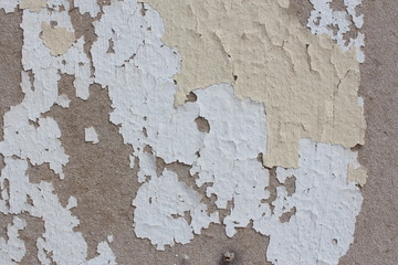 Fototapeta premium old painted hardboard