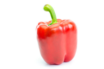 pepper red on a white background.