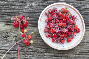 Wild strawberries plate