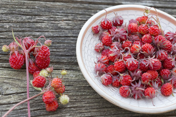 Wild strawberries plate