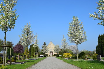 Friedhof Vehlen