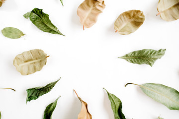 Green and brown leaves frame on white background. Flat lay, top view