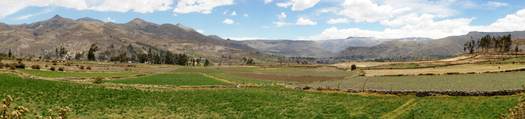 Fototapeta na wymiar Colca Valley, Arequipa, Peru, South America