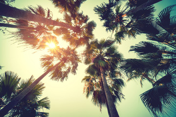 Fototapeta na wymiar Coconut palm tree on beach in summer with vintage effect.