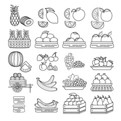 Vector set of  cute  fruit icon isolated on white background.