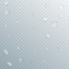Water drops. Realistic water droplets with transparency