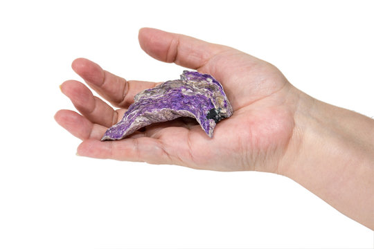 Charoit in palm of eldery lady