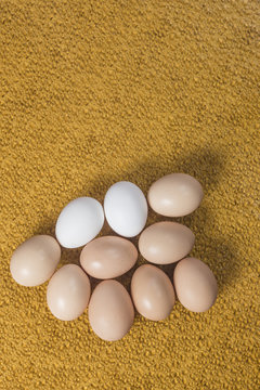 A few eggs on a bright background