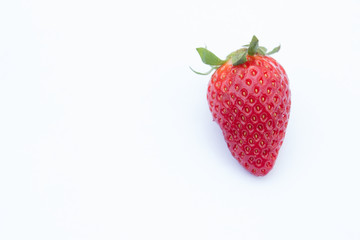 Strawberry in the spring sunshine