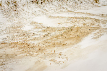 The snow on the way
