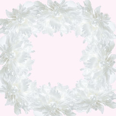 Elegant frame of lush white peonies