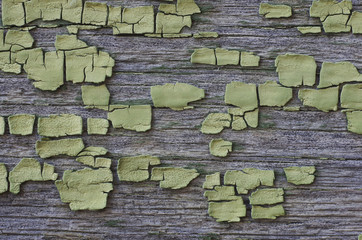 Background Wooden surface with cracked green paint