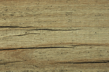 Texture of old wood light background