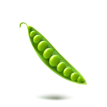 Greeen Peas Vector Illustration