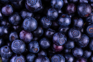 Organic blueberries background