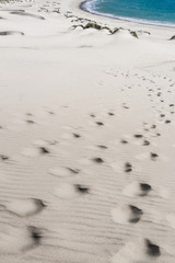 Summer sun blue sky ocean sand desert footprints