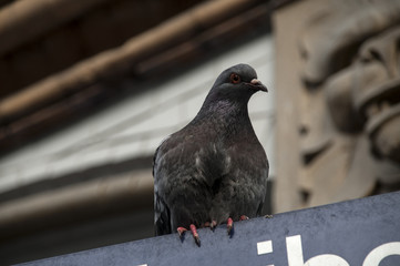 Hamburg