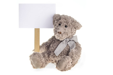 Sitting Teedy Bear plush toy withinformation board