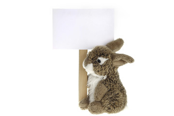 Rabbit plush toy with information board