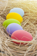 Easter eggs in the nest