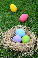 Easter eggs in nest on grass background