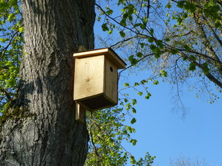 Nistkasten