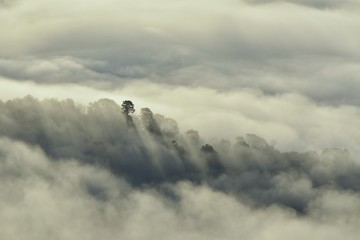 Misty fog on the mountain in tropical forest