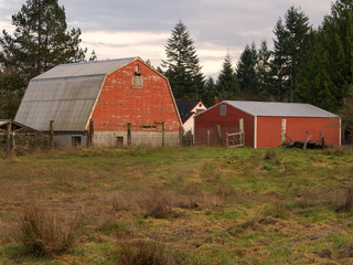 Red Barn And Out Buildings