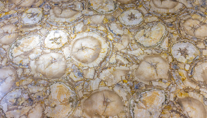 Gold and white patterned structure of dark gray marble texture for design