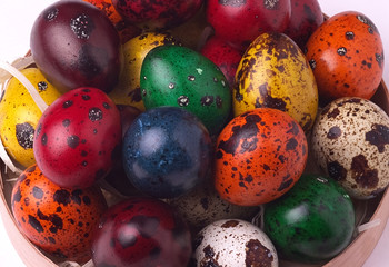 Hand-painted pastel colored Easter quail eggs background.
