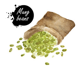 Watercolor drawing of Mung beans in sackcloth