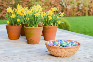 Easter eggs in basket. Defocused daffodils on wooden garden table.