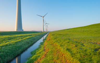 Wind turbines along a dike at sunrise in spring