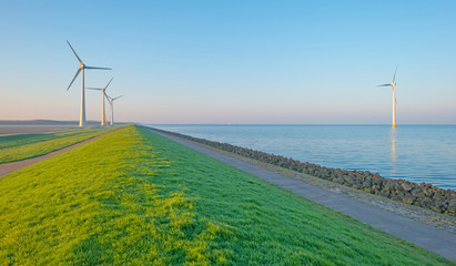 Dike along a lake at sunrise in spring
