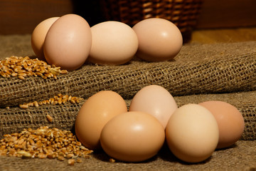Egg, chicken egg on burlap