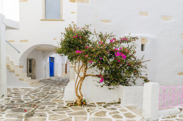 Traditional greek houses with spring flowers on Paros island. Cyclades. Greece.
