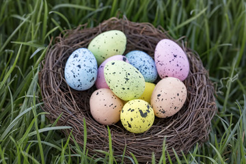 Renkli Yumurtalar