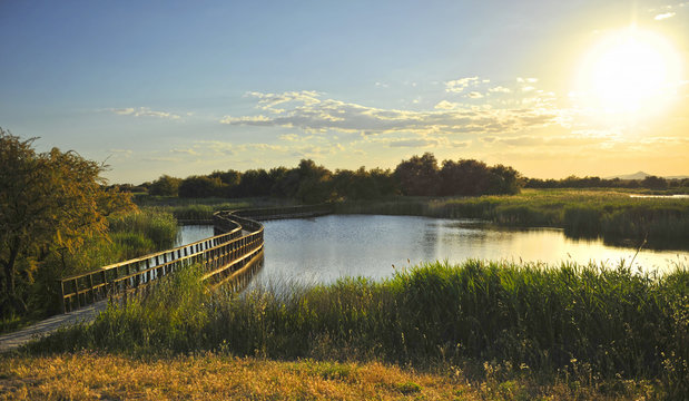 Puesta de sol en el Parque Nacional Tablas de Daimiel, Castilla la Mancha, Espa&ntilde;a