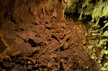 Bears cave, Romania