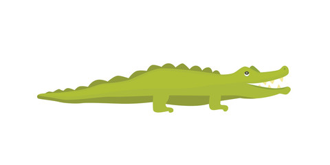 Cute Crocodile. Aligator vector cartoon illustration