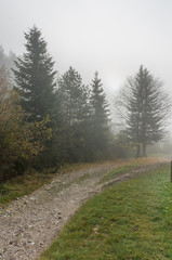 Fototapeta na wymiar Country dirt road in the fog