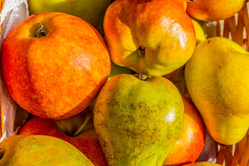 selection of cox apples and blush and conference pears
