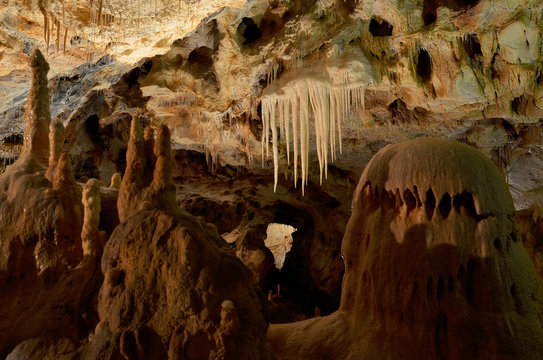 Bears cave, Romania