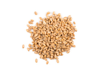 Wheat grain on white