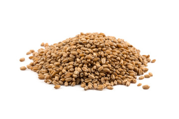 Wheat grain on white