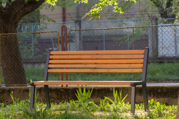 empty bench in park under tree