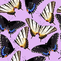 Varicolored butterflies seamless